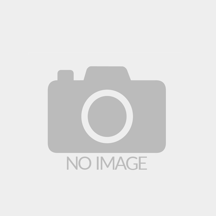 Бачинський Роман Володимирович